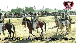#febspot#foryou #foryoupage#horses#ridings#vedio69#ahmad#nasir#sports#fyb#fybpage