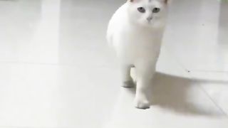 Goyang ngebor