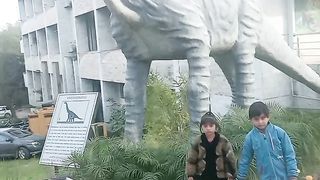 Nice place 11