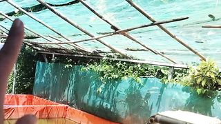 Benahi kolam kalian juga ada yang kurang karena kenyamanan kita dan ikan itu prioritas utama
