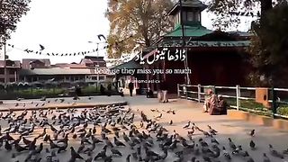 Lovely Song 9