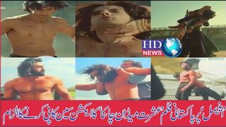 ’اینیمل‘ پر پاکستانی فلم ’عشرت میڈ ان چائنا‘ کا ایکشن سین کاپی کرنے کا الزام