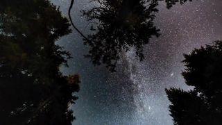Night insect sounds | 15 minutes insect sounds for relaxation and sleep