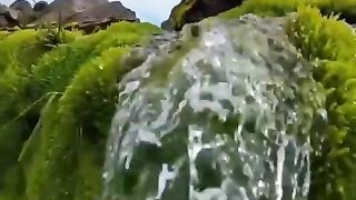 Жизнь 133