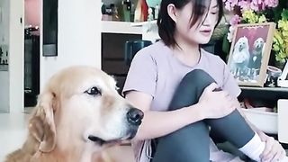 Smart dog teaches master yoga#fyp