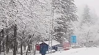 Snow fall sdventure