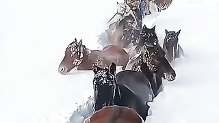 This happened in China