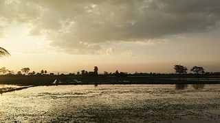 Sunset Time..