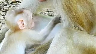 cute playing with mother's milk
