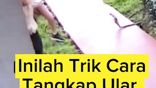unique video 2