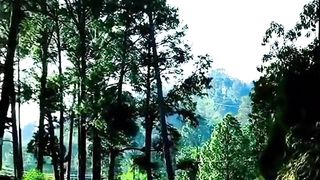 Beautiful Green Mountain of Kashmir