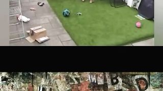 Ridiculous Incident vol 147