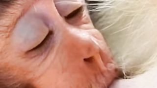 It's very strong for baby monkeys to drink mother's milk