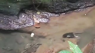 I thought it was fish, I don't know, friend haha