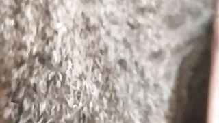 Seconds of a Cat Giving Birth to Her Cubs in the House