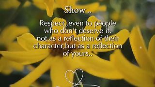 Respect 392