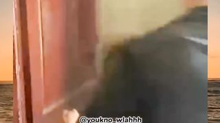 Memes video 3