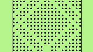 These Dots think they're Nick Cannon.