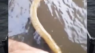 Funny video