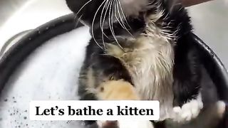 The way she squeezes the water out is so cute ????????
