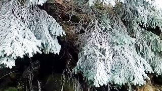Amazing winter ❄️????
