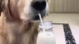 I don't believe it's cute