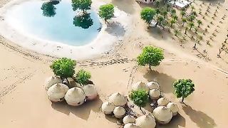 صحرا میں زندگی کی خوبصورتی