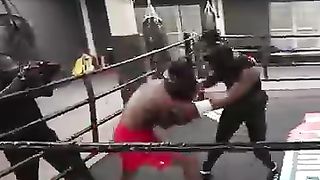 KSI vs. iShowSpeed Boxing Match Was Hilarious ????