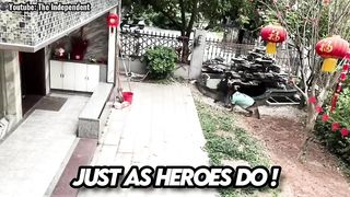 Hero Animals That Saved Human Lives !