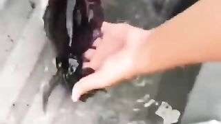 Amazing effect 6