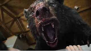 Movie Scene : Crazy Bear