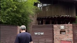 20-year-old house with beautiful design