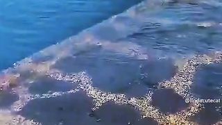 Приколи 653