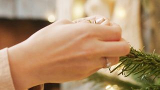 "Yuletide Wonders: A Christmas Special"