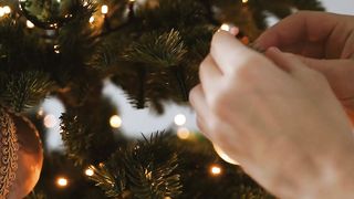 "Jingle All the Way: A Christmas Extravaganza"