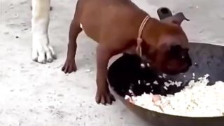 ???????????????????? 85