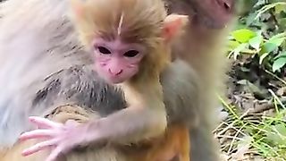 Newborn babies still have umbilical cords, they are very beautiful