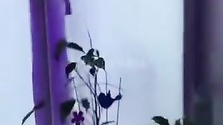 Girl was awaken by knocking on the window at 4AM