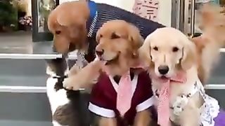 they wanted her to be in the picture so bad