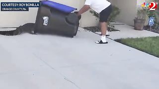 In Florida, a brave citizen confronts a reptile in a unique way. Find out how this man overcame the challenge with his unique approach. 2