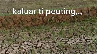 My story 19