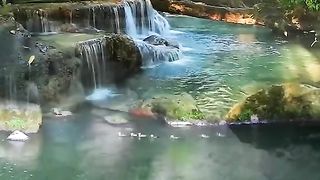 beautiful video best video tiktok viral video
