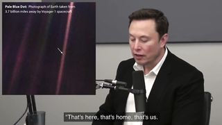 Elon Musk "that's here, that's home, that's us"