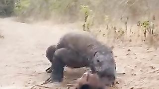 Nature Is Scary