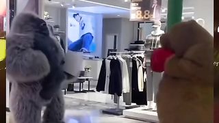 Beruang vs gorila