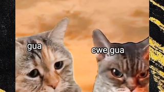 giliran pas sakit perut nyalahin cowoknya
