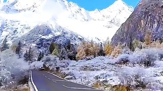tiktokdownload.online_1703183505805.