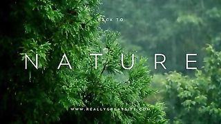 Nature. 3