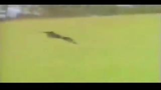 Yes - Owner Of A Lonely Heart (Official Music Video