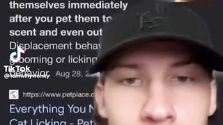 Cat Licking